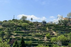 西甲马竞球星不满西蒙尼战术，寻求转会巴塞罗那加盟传闻发酵