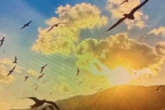 Kairat与皇马：绿茵足球盛宴中的东西方文化交融